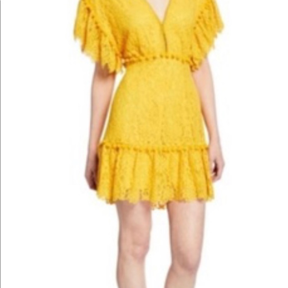 Nanatte Floral Lace Ruffle Pompom Mini Dress - Picture 2 of 5